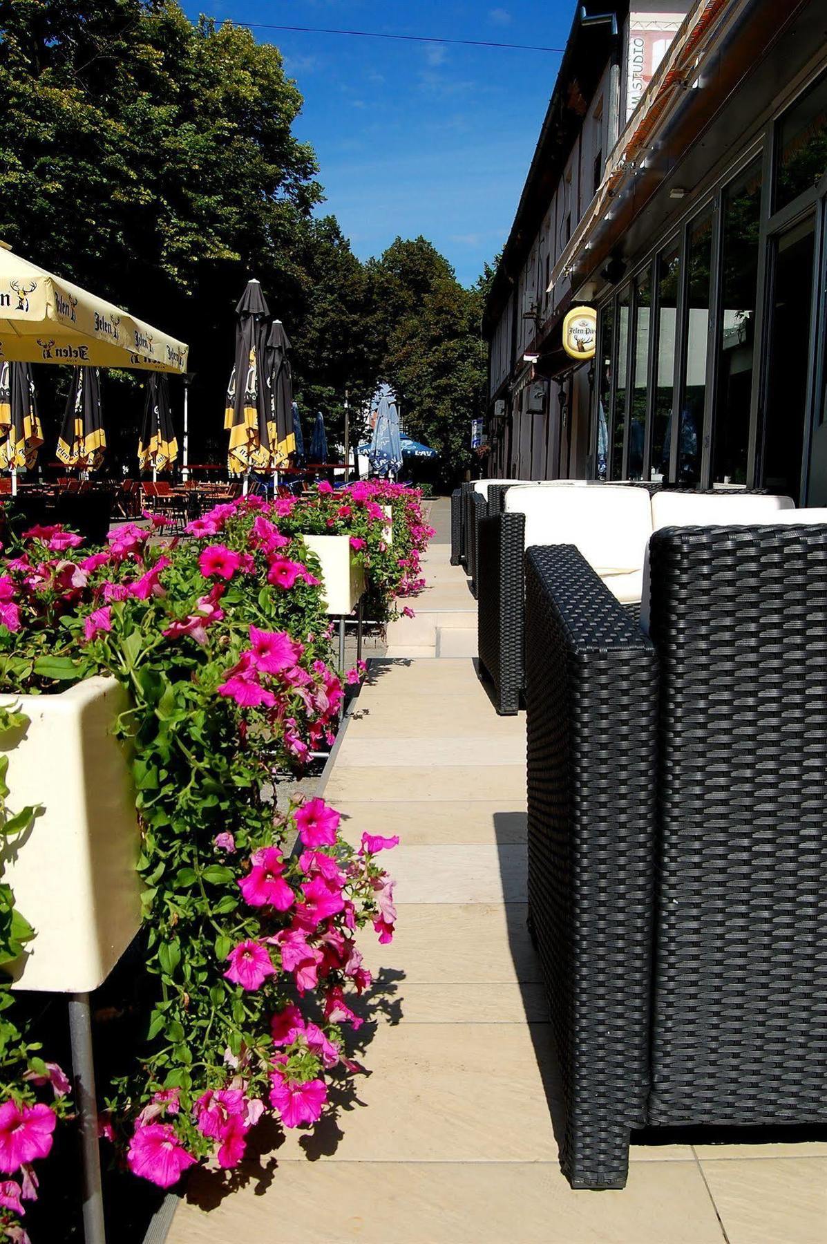 Hotel Tiski Cvet Novi Becej ภายนอก รูปภาพ